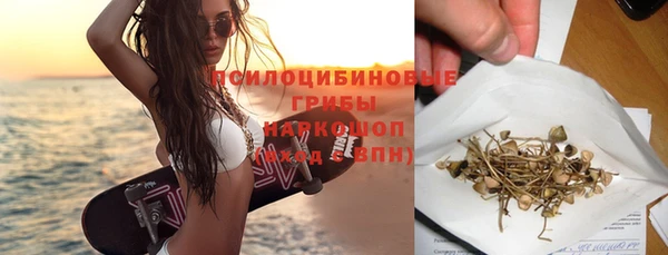 МДПВ Абаза