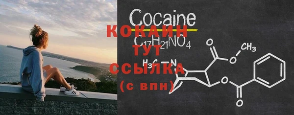 МДПВ Абаза