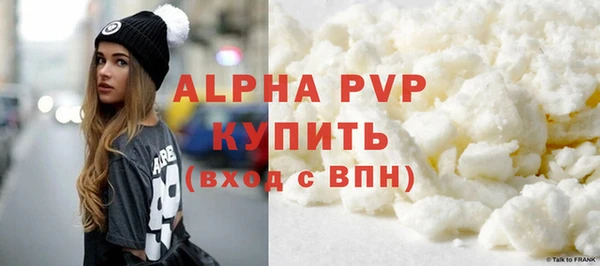 прущий лед Алзамай
