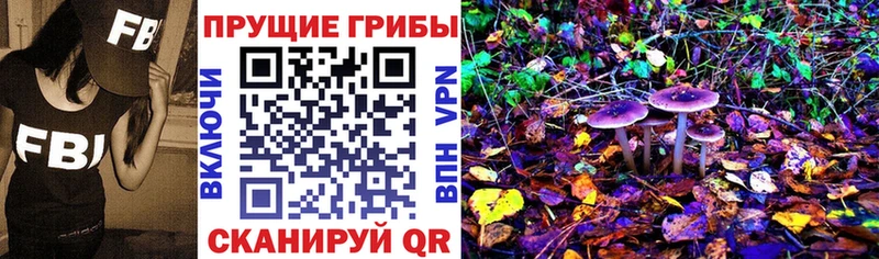 Галлюциногенные грибы Psilocybine cubensis  Дальнереченск 