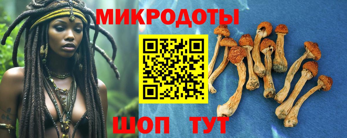Дальнереченск  сколько стоит  Вход с VPN  Псилоцибиновые грибы прущие грибы  Галлюциногенные грибы мицелий 